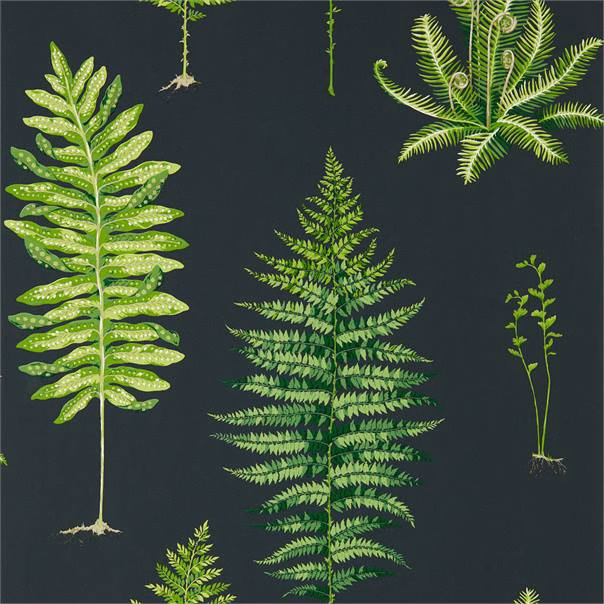Обои Sanderson The Glasshouse Fernery 216634